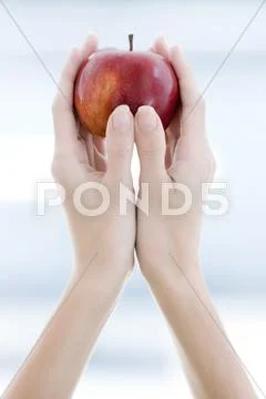 Red apple Stock Photos
