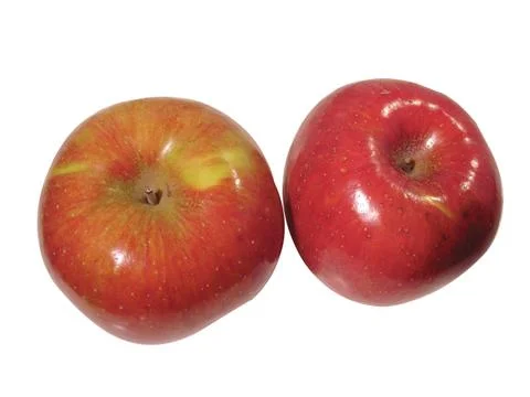 Red apple Stock Photos