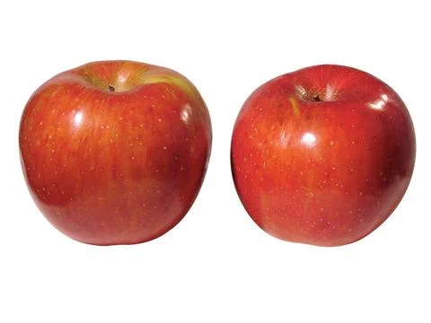 Red apple Stock Photos