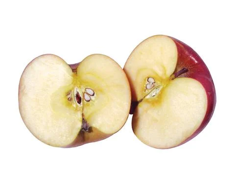 Red apple 写真素材