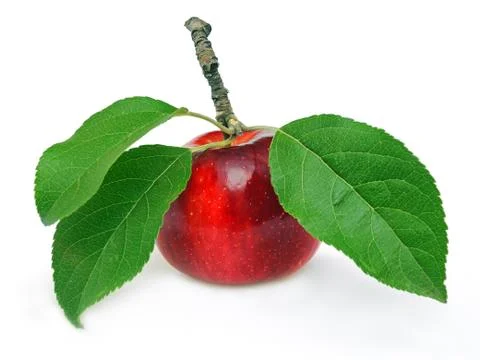 Red apple Stock Photos