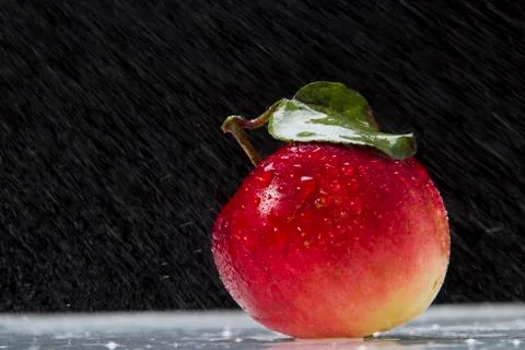 Red Apple Stock Photos