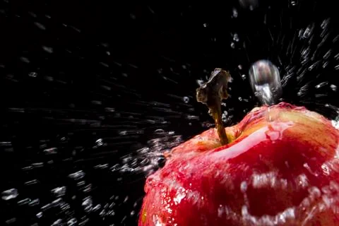 Red Apple Stock Photos