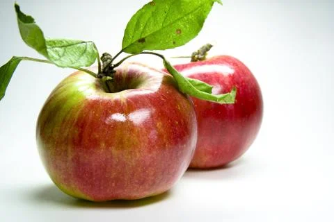 Red apple Stock Photos
