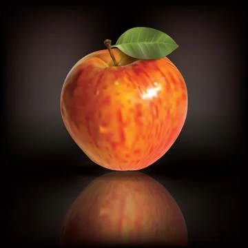 Red apple with reflection on black background Stock Illustration