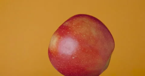 Red apple rotates hanging on a red background, isolated. 動画素材 155246439