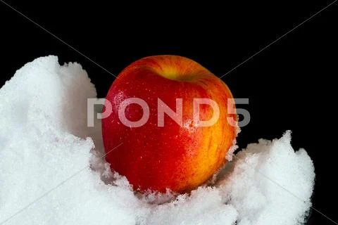 Red apple in the snow Stock Photos
