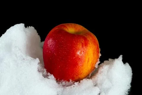 Red apple in the snow Foto stock