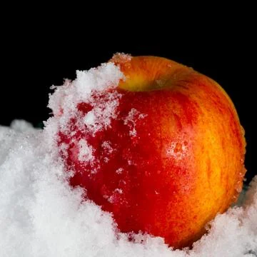 Red apple in the snow Foto stock