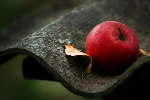 A red apple on the table Stock Photos