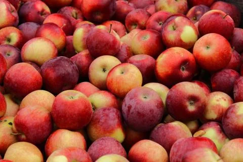 Red Apple Texture in a crate Stock Photos