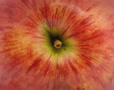Red apple, top view. Stock Photos
