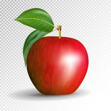 Red apple on transparent background. Vector, 3D Stock Illustration