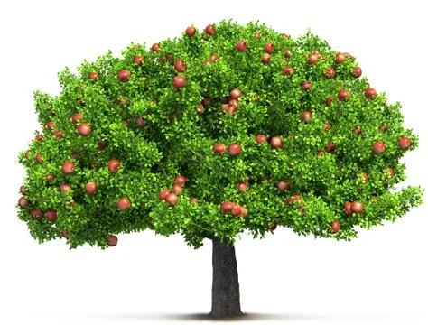 Red apple tree isolated 3D illustration Stock Photos