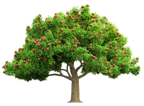 Red apple tree isolated 3D illustration Stock Photos