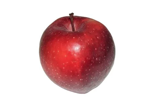 Red apple tree isolated on white background Stock Photos