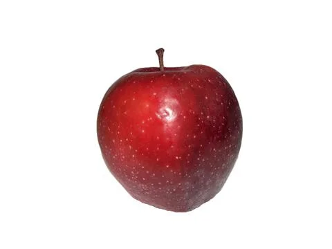 Red apple tree isolated on white background Stock Photos