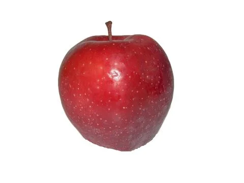 Red apple tree isolated on white background Photos
