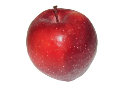 Red apple tree isolated on white background Photos
