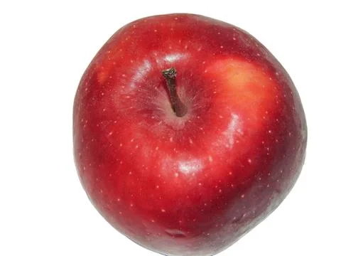 Red apple tree isolated on white background 库存照片