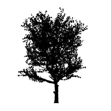 Red apple tree silhouette Stock-Illustration