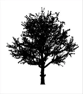 Red apple tree silhouette Stock-Illustration
