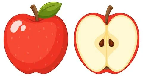 Red Apple Vector Illustration with Whole Fruit and Sliced Half Illustrazione stock