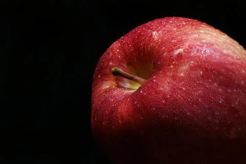 Red apple with water drops macro Stock Photos