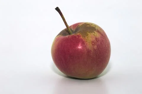 Red apple on white background Stock Photos