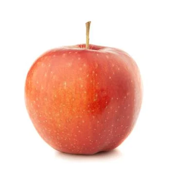Red apple on a white background with a shadow. Stock Photos
