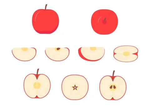Red apple whole, cut half, piece, part and slice chopped of fruit. Harvest ripe Stock Illustration