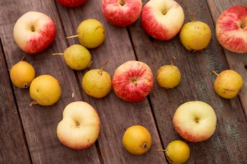 Red apples and small pear lie on a wooden board. Top view.With copy space. Stock Photos