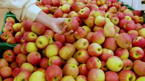Red apples are on fruit shelf at supermarket. Stock Footage 157536765