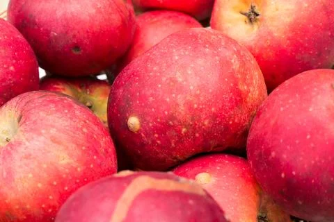 The red Apples background and objects. Foto stock