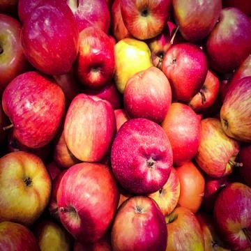 Red apples background. Fresh organic red apple stands out among many apples b 写真素材