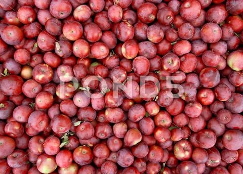 Red apples background Stock Photos