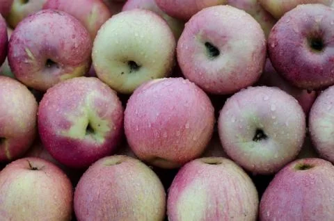 Red apples background Stock Photos