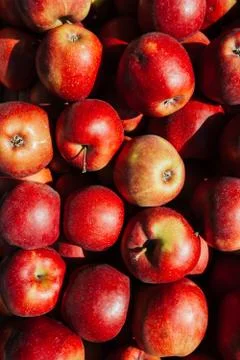 Red apples background Stock Photos