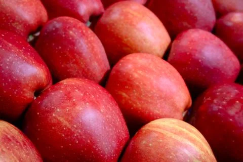 Red apples background Stock-Fotos