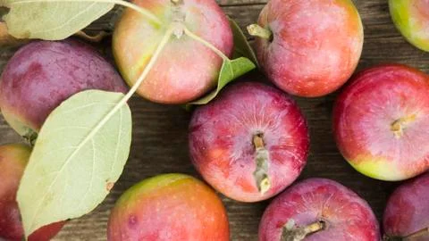 Red apples background Stock Photos