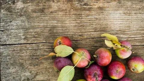 Red apples background Stock Photos