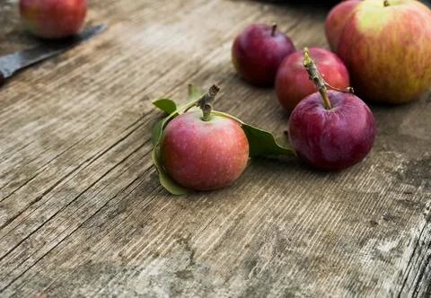 Red apples background Stock Photos