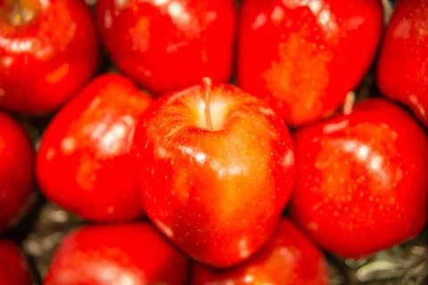 Red apples background Stock Photos