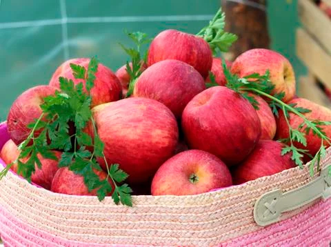 Red apples basket Stock Photos
