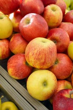 Red apples in a basket Stock Photos