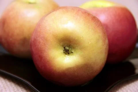 Red apples on the black plate on the table Stock Photos