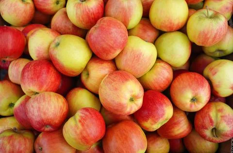 Red apples in a box Stock Photos