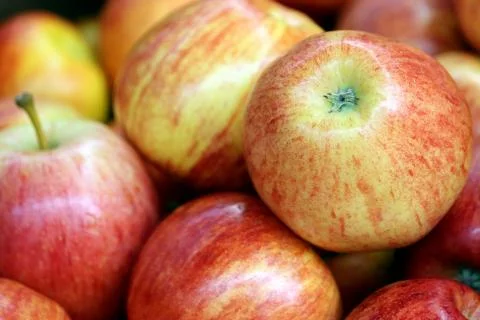 Red apples close up Stock Photos
