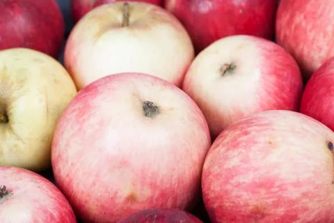 Red apples closeup background Stock Photos