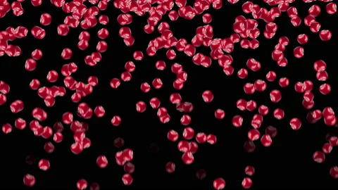 Red Apples Falling Animation Background 4K Stock-Footage 239322025